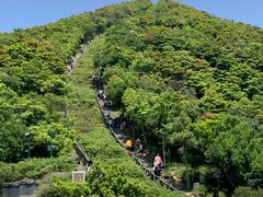 -梧桐山风景名胜区