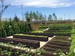 -松咖啡自助餐厅·松北香格里拉