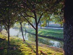 -艾溪湖湿地公园