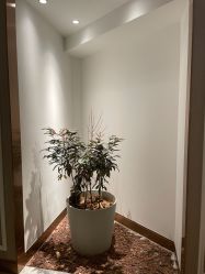-艾维庭美学SPA