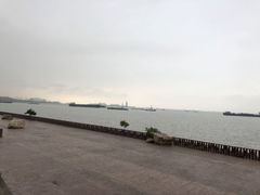 -上海滨江森林公园