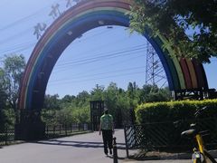 -九十九顶毡房(阜石路店)