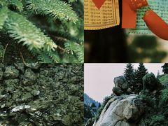 -芦芽山旅游度假区
