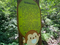 -大岭沟猕猴桃谷风景区