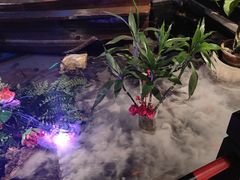 -红蜡烛-养生粥-津鲁菜(中山路店)