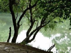 -贵阳市花溪国家城市湿地公园