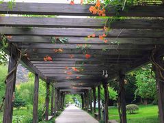 -白马涧龙池景区