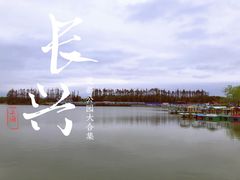 -上海长兴岛郊野公园