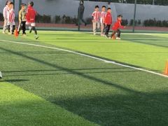 -小赛虎少儿足球培训(南翔校区)