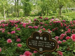 -洛阳市隋唐城遗址植物园