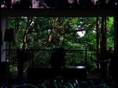 -杭州植物园