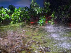 -多彩贵州城极地海洋世界