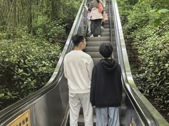 -天目湖山水园