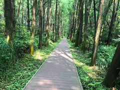 -同里国家湿地公园