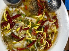 老坛子酸菜鱼-新太二·鲜料川菜(花都融创茂店)
