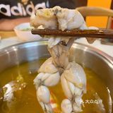 ️探店｜“黄椒牛蛙”火锅‼️ 🍲