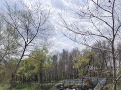 -黛秀湖公园