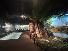 -马鞍山市博物馆