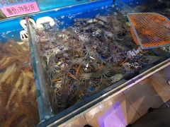 -黄寺蒸汽海鲜(黄寺大街店)
