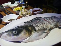 -红牌美蛙鱼头火锅(万辉国际广场店)