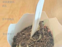 抹茶麦旋风-麦当劳餐厅(龙平西路店)