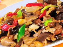 蘑菇肉片-北大地皖峰饭馆