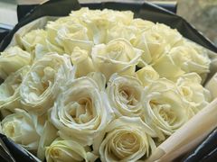 -ROSEONLY诺誓(青岛万象城店)