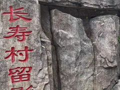-长寿村