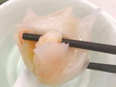 悦满楼虾饺皇-悦满楼·西关名点·湛江名菜(航空综合大厦店)