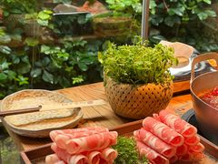 -四喜小胖·北京涮肉(五道营店)