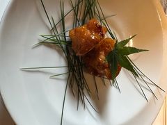 -觀芷隐轩