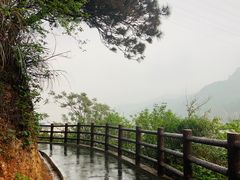 -羚羊峡古栈道森林公园