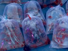 -华声天桥民俗文化园