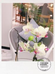 -AiCure 埃可儿·韩国医学皮肤管理