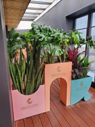 -美悦湾月子中心(熙湖店)