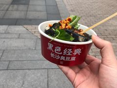 -黑色经典臭豆腐·湖南特产(坡子街店)