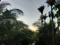 -万兴启丰椰子文化园餐厅
