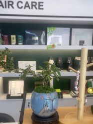 -章光101防脱养发荟