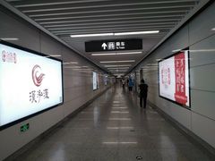 -广西大学(大学东路校区)