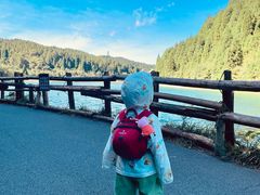 -武陵山森林公园