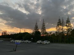 -光明驾校·学车·陪驾(川沙店)