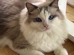 -青柠影咖·私人影院(龙泉店)