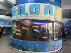 -泉州海丝野生动物世界