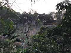 -广州市白云山风景名胜区
