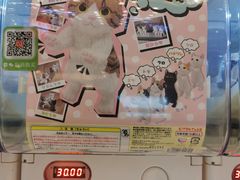 -银座mall(东直门店)