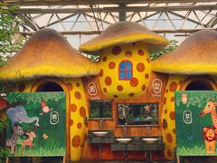 -南宫五洲植物乐园