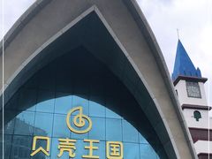 -贝壳王国博物馆