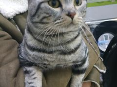 -狗舍宠物医院(四季商业广场店)