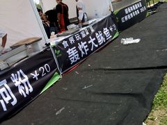 -苏州太湖迷笛