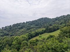 -敬亭山风景名胜区